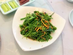 木姜油丝瓜尖-首钢一九一九大酒楼(石景山店)