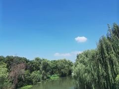 -同里国家湿地公园