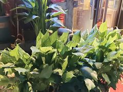 -巴渝老街印象生活麻辣烫(华宇·北城中央汇店)