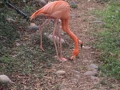-昆明动物园