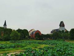 -美兰湖景区