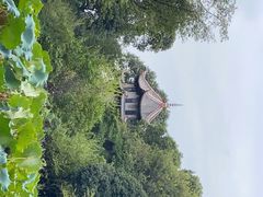 -成都杜甫草堂博物馆