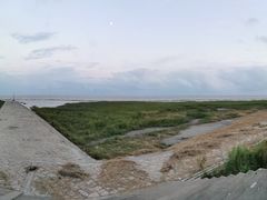 -南汇嘴观海公园