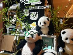 -轩客会(熊猫书店)