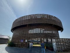-盐城丹顶鹤湿地生态旅游区