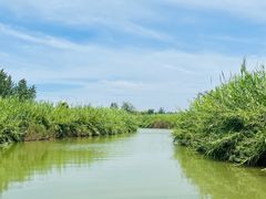 -泗洪洪泽湖湿地景区