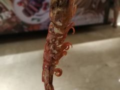 -壹号港湾