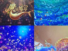 -海合安武汉极地海洋公园