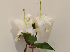 -李记搅团•非遗陕菜(沣东i立方店)