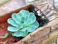-大理洱海