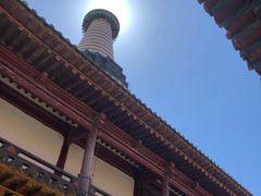 -张掖大佛寺景区