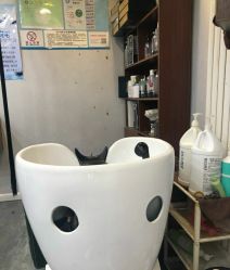 -零下一度造型