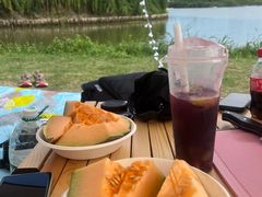 -春花秋色城市公园