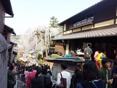 -有栖山 清光院 清水寺