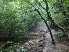 -九龙潭景区