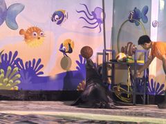 -太平洋海底世界