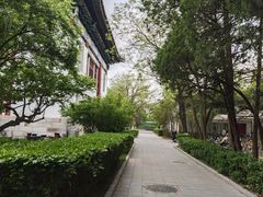 -北京大学赛克勒考古与艺术博物馆