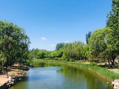 -大兴滨河森林公园