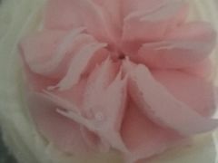 -中关村茶点