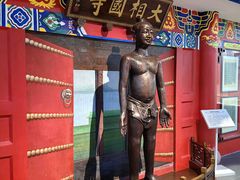 -广东中医药博物馆