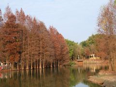 -厦门园林博览苑