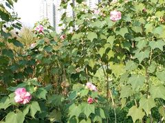 -人民公园(罗湖区)