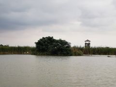 -盐城丹顶鹤湿地生态旅游区