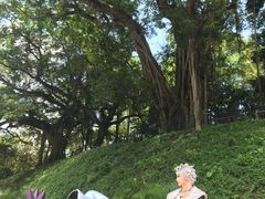 -九龙公园