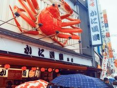 -蟹道乐(道顿堀本店)