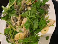 -草鱼先生潮州鱼生·虾生(新厦花园店)