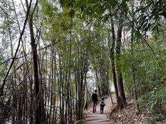 -广州市流溪河国家森林公园