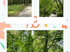 -上海共青森林公园