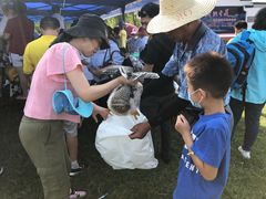 -武汉紫薇都市田园