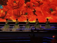 -南京奥林匹克体育中心-体育馆