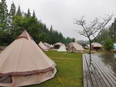 -前小桔亲子创意农场·草莓采摘·露营烧烤