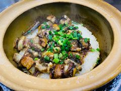 -红星光发煲仔饭(大石街店)