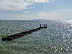 -贡湖湾湿地公园
