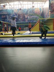 -爱丽丝奇幻乐园