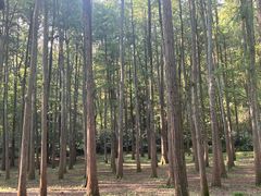 -杭州植物园