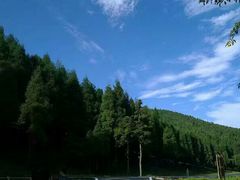 -武陵山森林公园