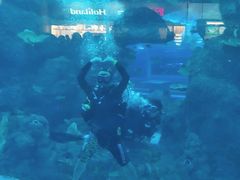 -成都浩海立方海洋公园