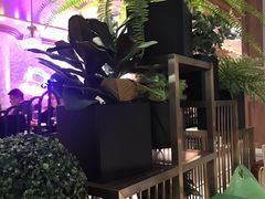 -金椰壳· 大厨新加坡菜(壹方城店)