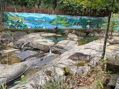 -广州白江湖森林公园