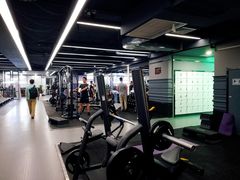 -金吉鸟健身游泳