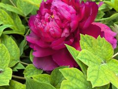 -木塔寺遗址生态公园