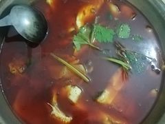 -重庆特色冷锅鱼(武大店)