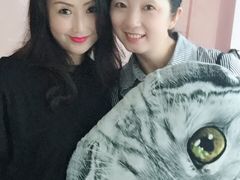 -我爱猫咪·猫咖·狗咖·安哥拉兔·羊驼咖(小寨华旗店)