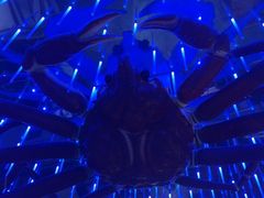 -蟹之国·精品蟹料理(极地店)