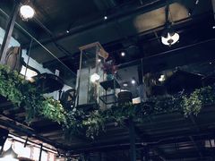 -杂咖zacup(领展中心城店)
