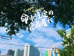 -仰口沙滩